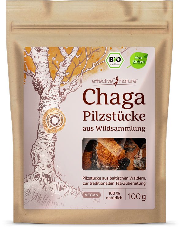 Chaga - der Teepilz in Bio-Qualität""