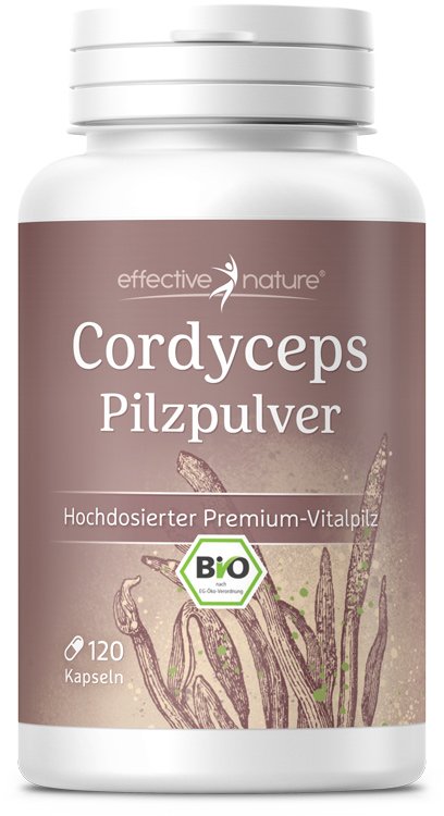 Cordyceps Bio-Pilz""